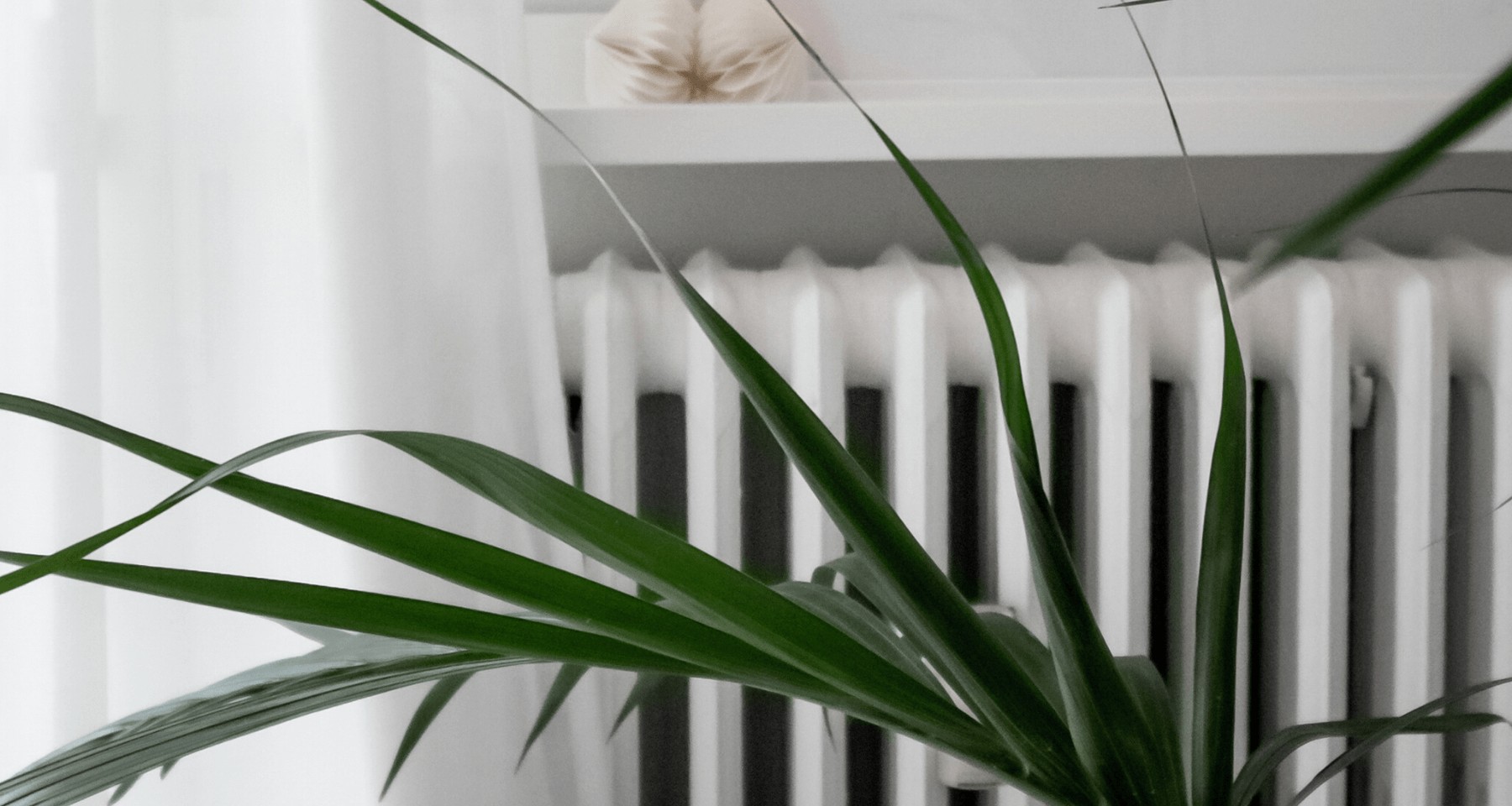 How To Add Links To Instagram Posts Without 10k Followers shoppable IG