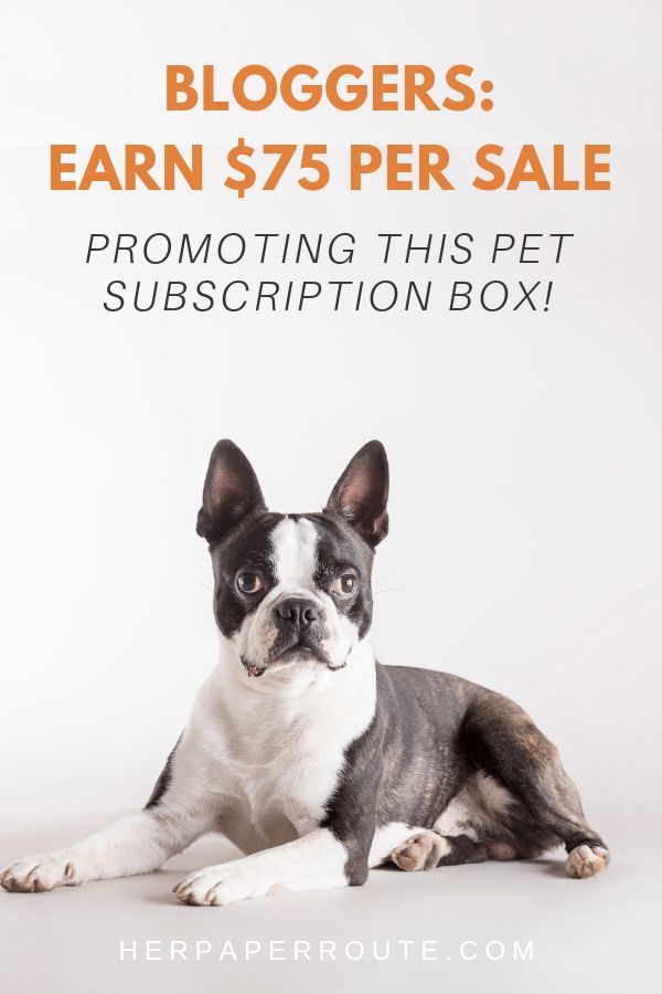 NomNomNow Affiliate Program 2 NomNomNow affiliate program Make $75 per sale promoting this subscription box for pets! subscription box affiliate program affiliate program directory herpaperroute #affiliateprograms #makemoney #monetize #petaffiliate #affiliatemarketing
HerPaperRoute.com