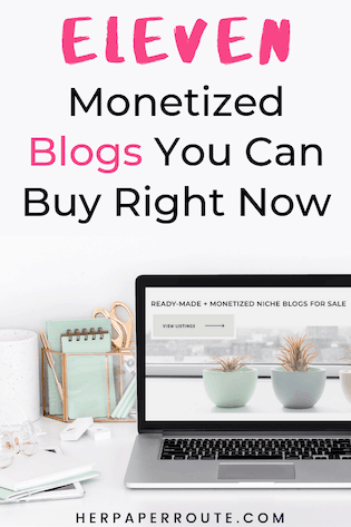 11 monetized blogs you can buy right now 300
