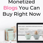11 monetized blogs you can buy right now - Niche Blogs for sale buy websites