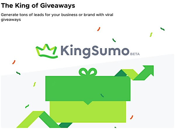 Giveaway Lead Magnet Ideas king sumo