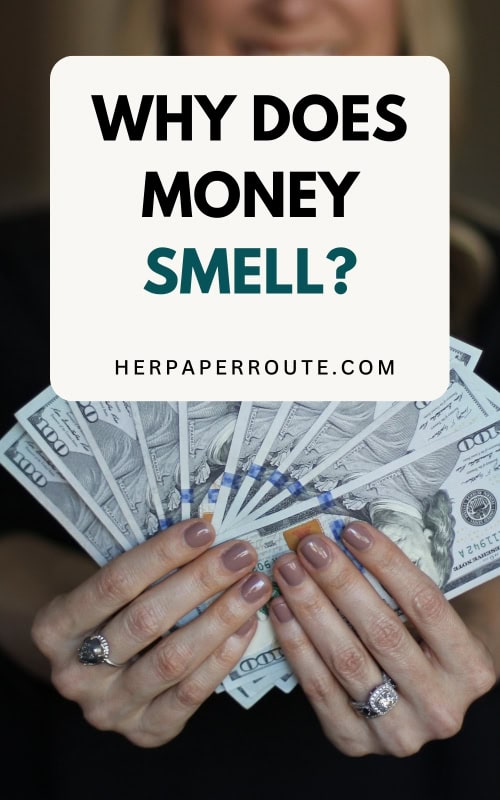 woman holding up a fan of dollar bills answering the question why does money smell