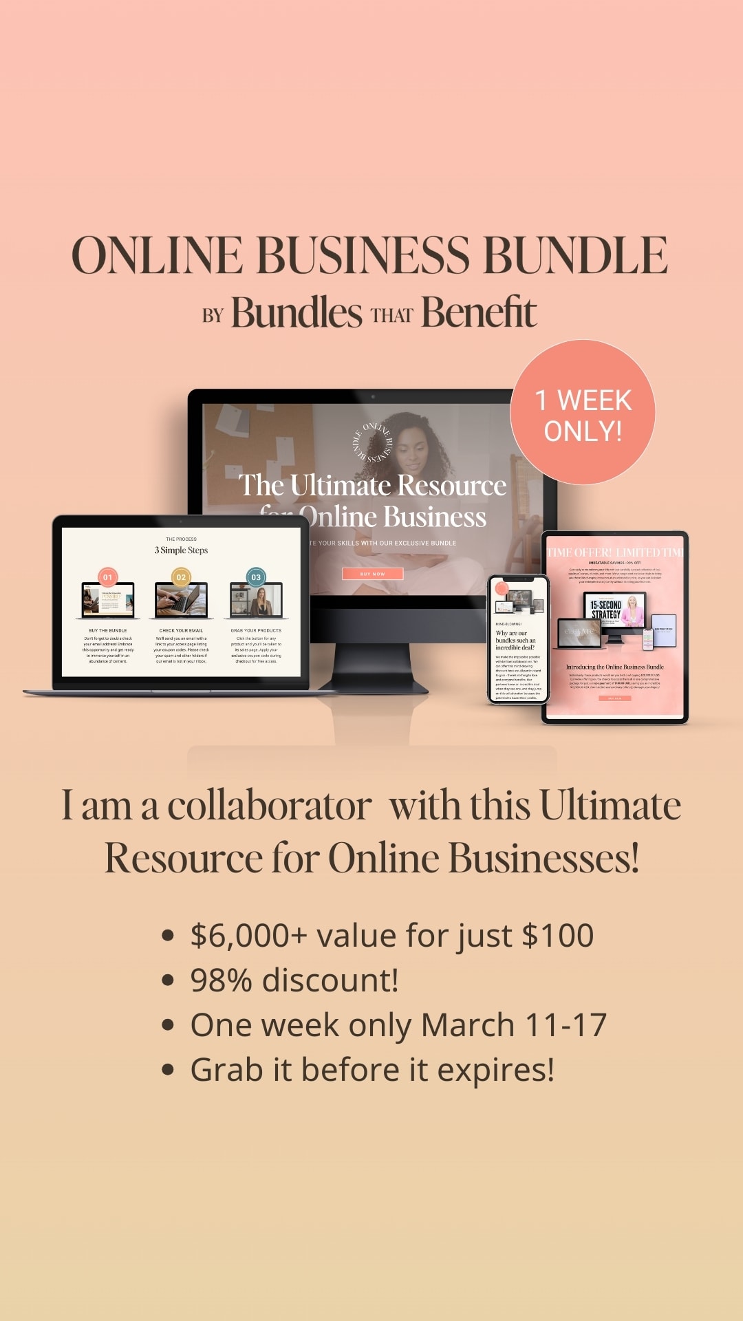 online business bundle close up