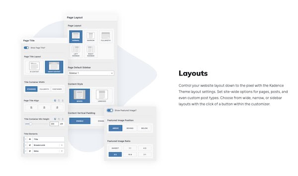 easy to customize kadence theme settings many options