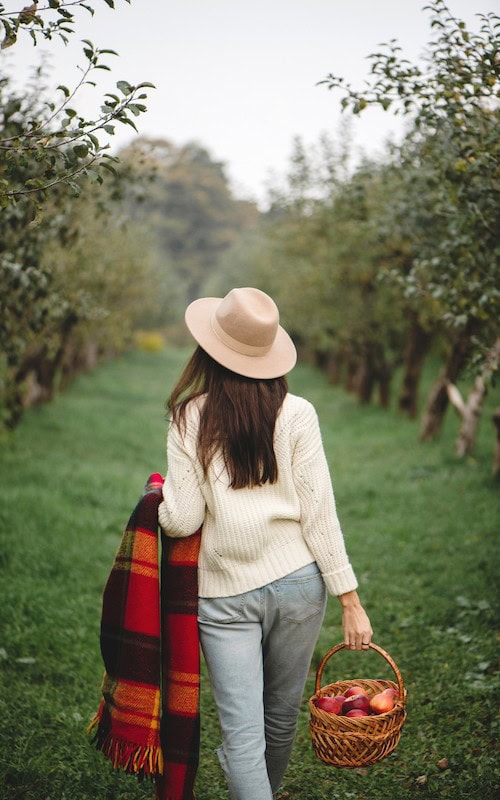 woman walks in orchard in Fall earning extra cash in Autumn by picking apples for a farm