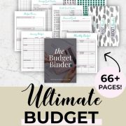 ultimate budget binder