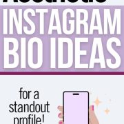 Ultimate List of 300 Aesthetic Instagram Bio Ideas