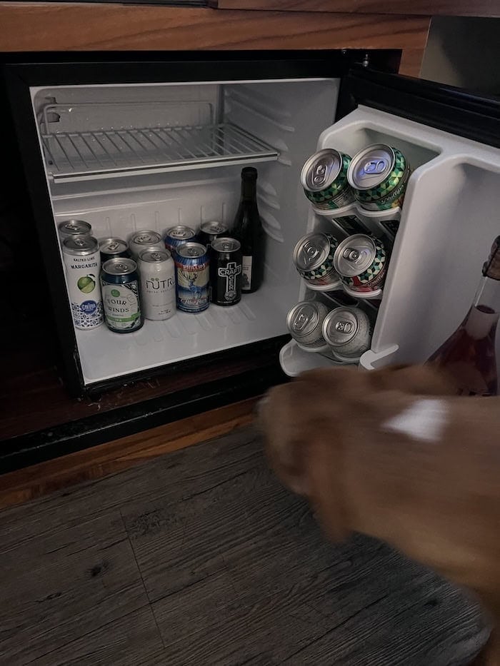 Qualicum Beach Inn: Pet-Friendly Coastal Hotel on Vancouver Island 3 dog looks inside the mini bar in hotel room