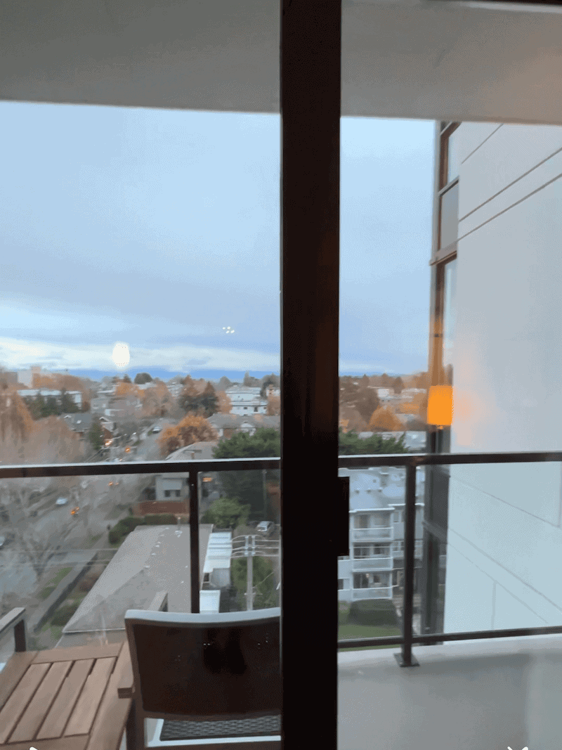 Oswego Hotel Review: Pet-Friendly Stays in Victoria, BC 5 view from suite oswego hotel