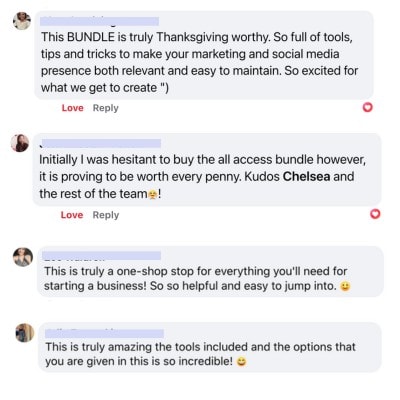 Brave at Business Bundle testimonials