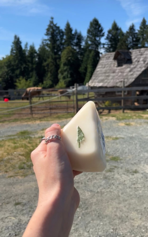 Planning the Perfect Day in South Cowichan, Itinerary 8 holding up some cheese from cowichan station creamery