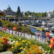 43 Interesting & Fun Facts about Victoria BC 2 tulip garden victoria bc canada